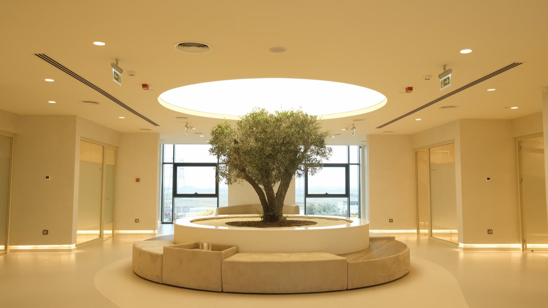 Marga Longevity Bakü retreat ve wellness alanı